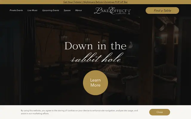Homepage of Lake Effect
